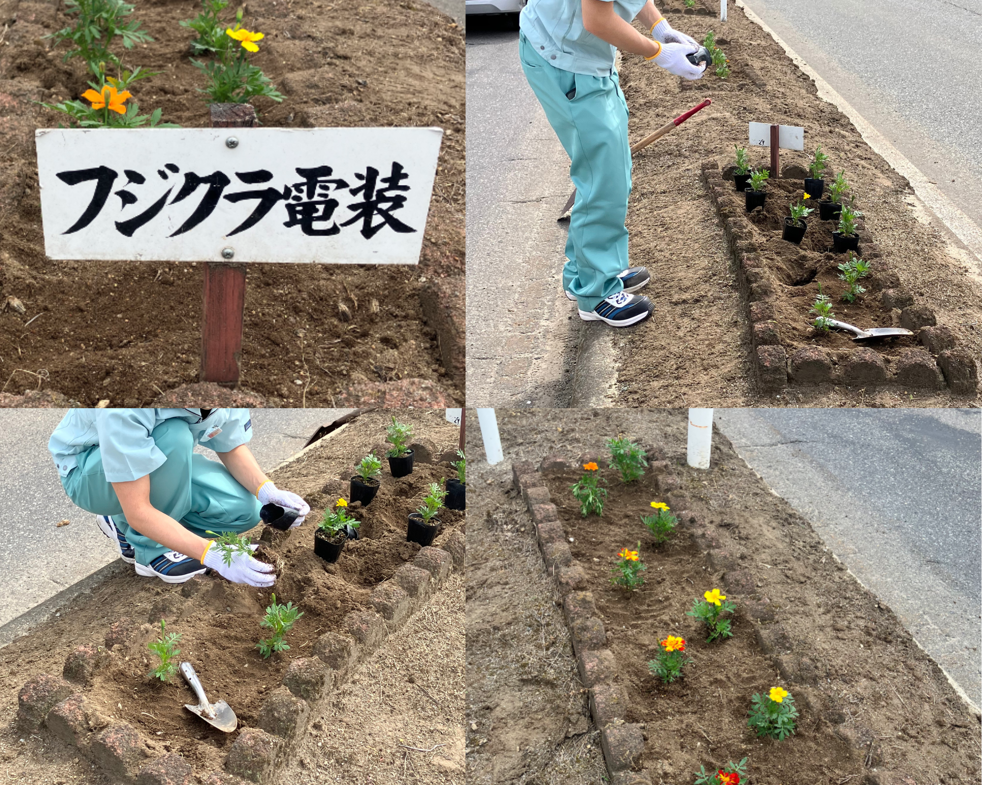 HP掲載用写真.png